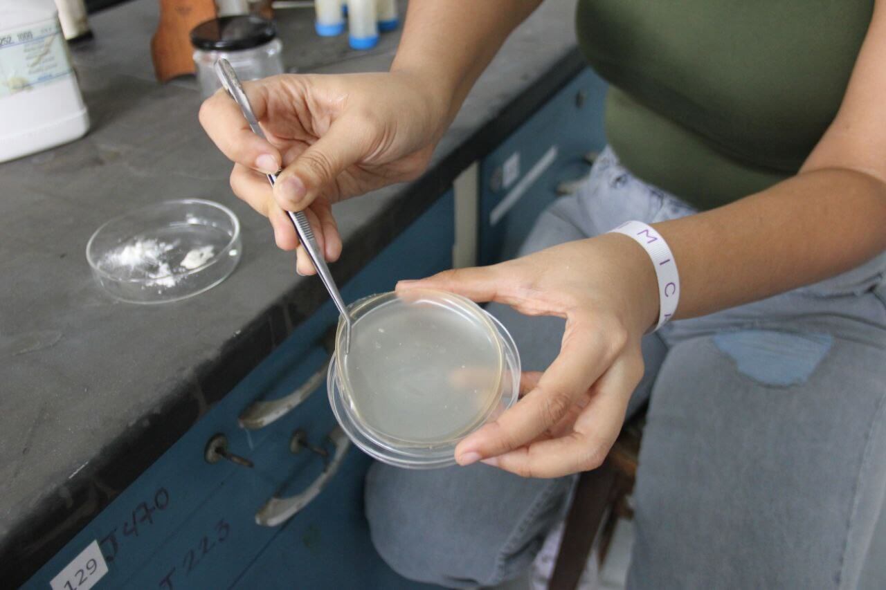 Científicos venezolanos desarrollan cicatrizante a base de cáscara de camarones para pacientes con movilidad reducida y escaras