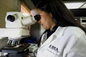 Investigadores del IDEA adelantan proyecto de producción de microalgas con fines biotecnológicos