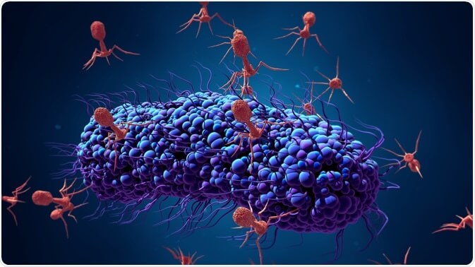 Bacteriófagos: virus que infectan bacterias como alternativa a los antibióticos