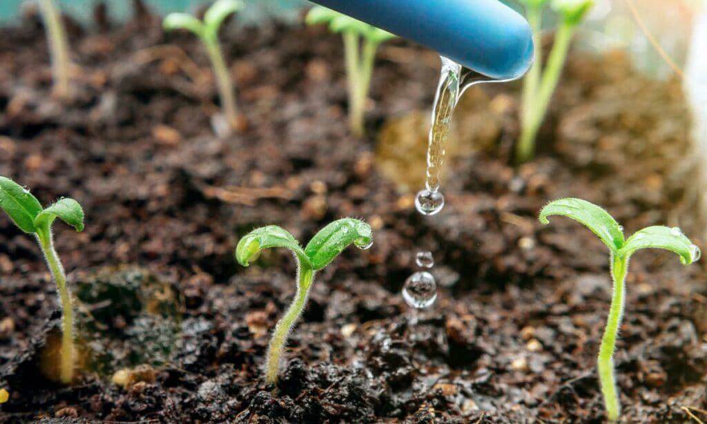Investigadores del IVIC desarrollan estudio sobre cosecha de humedad atmosférica para mitigar escasez de agua