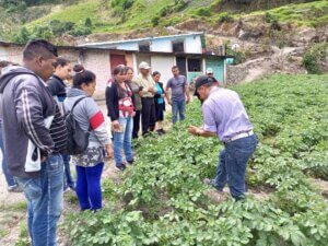 Dictan taller sobre manejo agronómico del cultivo de semilla de papa en Trujillo