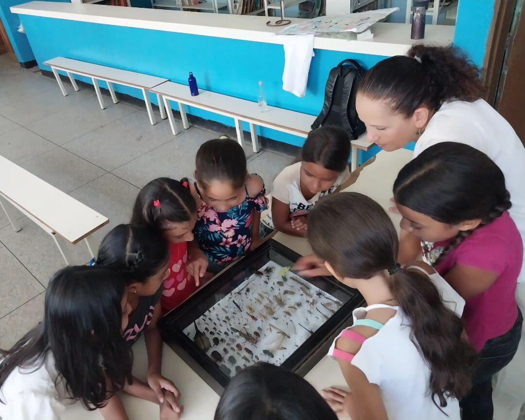 Niños y niñas de Nueva Esparta fortalecen conocimientos en módulo educativo sobre ciencia, equipos médicos e insectos