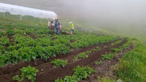 Anuncian lanzamiento de plataforma AgroDigital Venezuela para brindar apoyo y asistencia a campesinos y productores del país