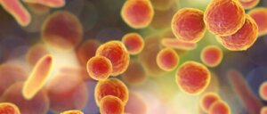 Mycoplasma: principal sospechosa del brote de neumonía en China