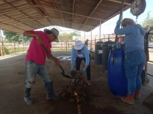 INZIT elabora biofertilizantes con recursos locales para mejorar producción de hortalizas en el Zulia