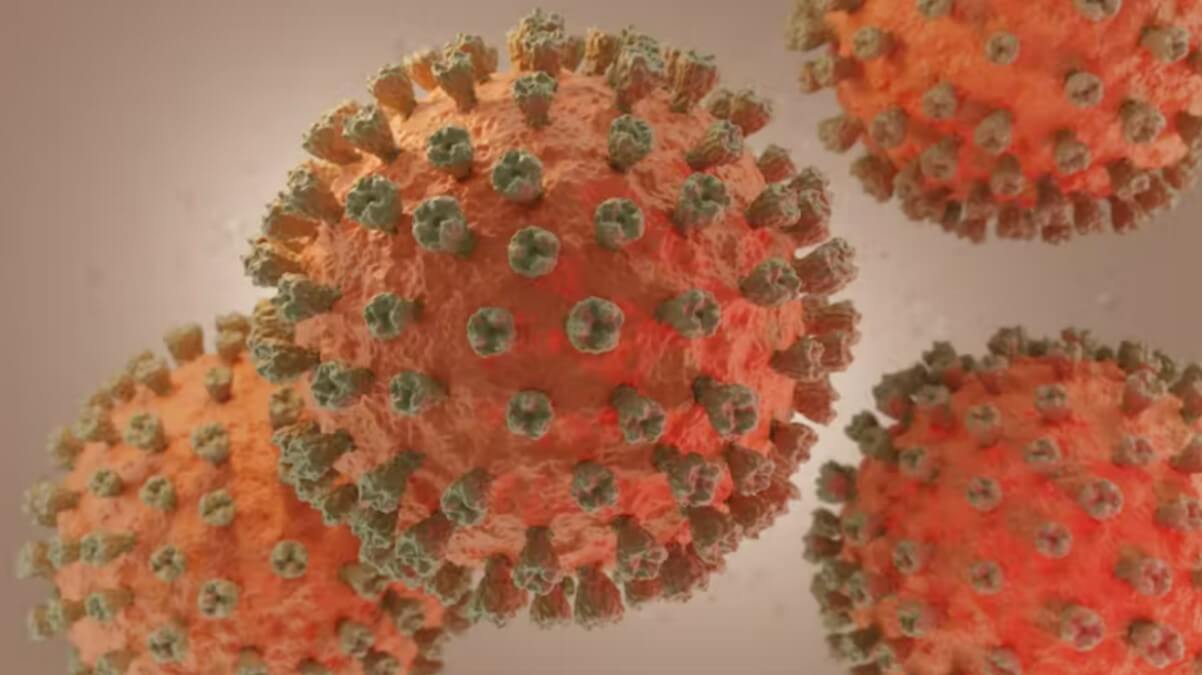 Conoce las diferencias entre la gripe A y la gripe aviar