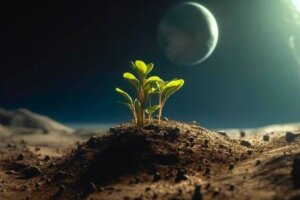 Estudio confirma que las plantas pueden crecer en la superficie lunar aportando nutrientes y oxígeno