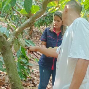 ACAV continúa abordaje para el diagnóstico fitosanitario en plantaciones de Cacao en Barinas