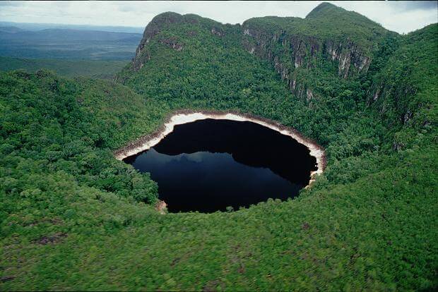 Bosques tropicales de extraordinaria belleza abarcan cerca del 50% del territorio venezolano