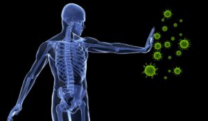Un sistema inmunitario estable potencia una vida sana
