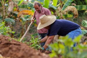 Agroecología: Práctica esencial para la Alianza Científico-Campesina