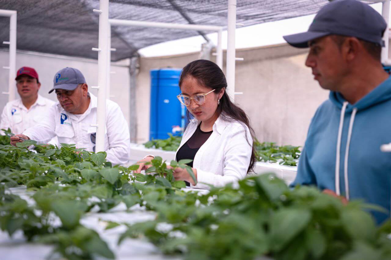 Alianza Científico-Campesina contribuye a la recuperación de la producción alimentaria en Venezuela