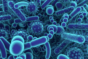 El desequilibrio en la microbiota puede alterar la salud mental