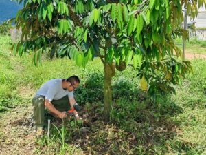 China promueve uso de prácticas ecológicas en productos agrícolas para mitigar efectos de la huella de carbono