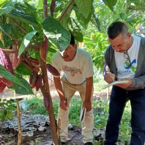 Avanza formación intensiva para técnicos cacaoteros en Barinas