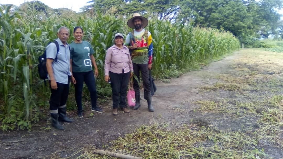 Mincyt impulsa prácticas agrícolas sostenibles en el estado Aragua