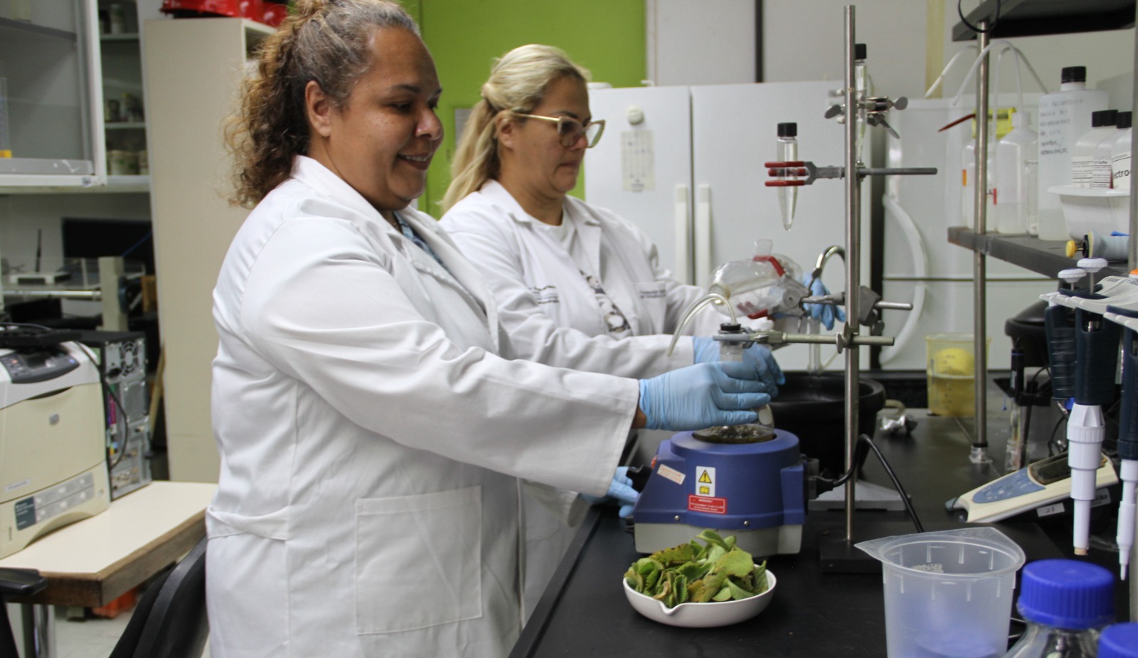 Proponen nuevas sustancias antimicrobianas contra infecciones mediante uso de plantas medicinales