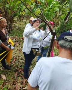 Plan Científico y Tecnológico del Cacao avanza en el estado Barinas