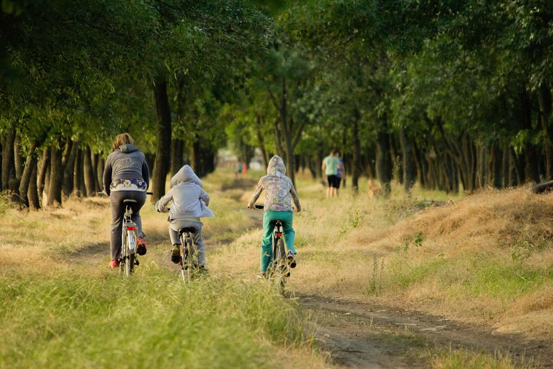 La desconexión digital potencia la salud mental y abre nuevas ventanas a la vida