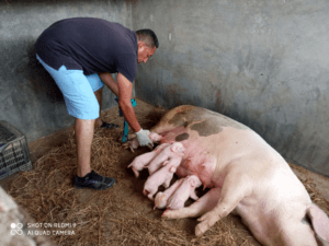 En Miranda desarrollan proyectos de innovación para fortalecer organización y abastecimiento de alimentos