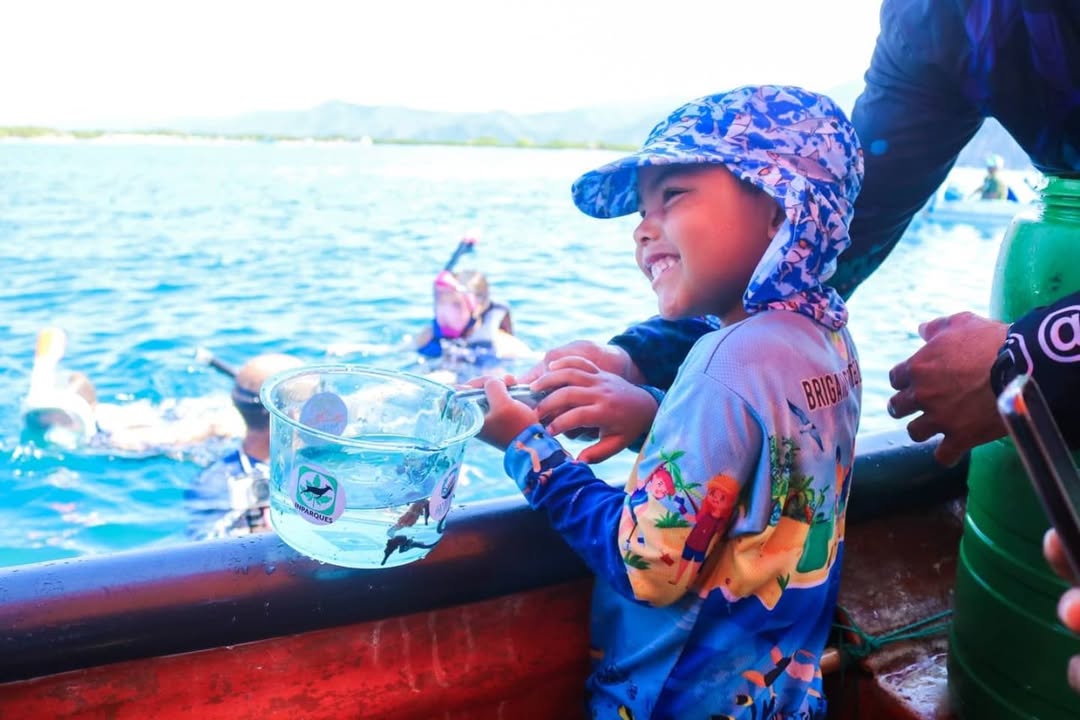 Gobierno nacional libera 900 caballitos de mar en Isla Larga estado Carabobo