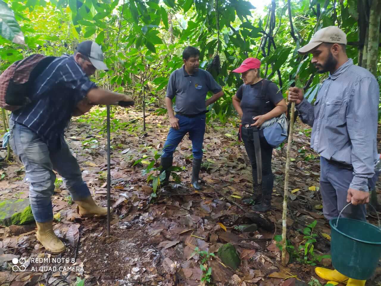 Yaracuyanos aprenden sobre muestreo de suelos en cultivos de café y cacao