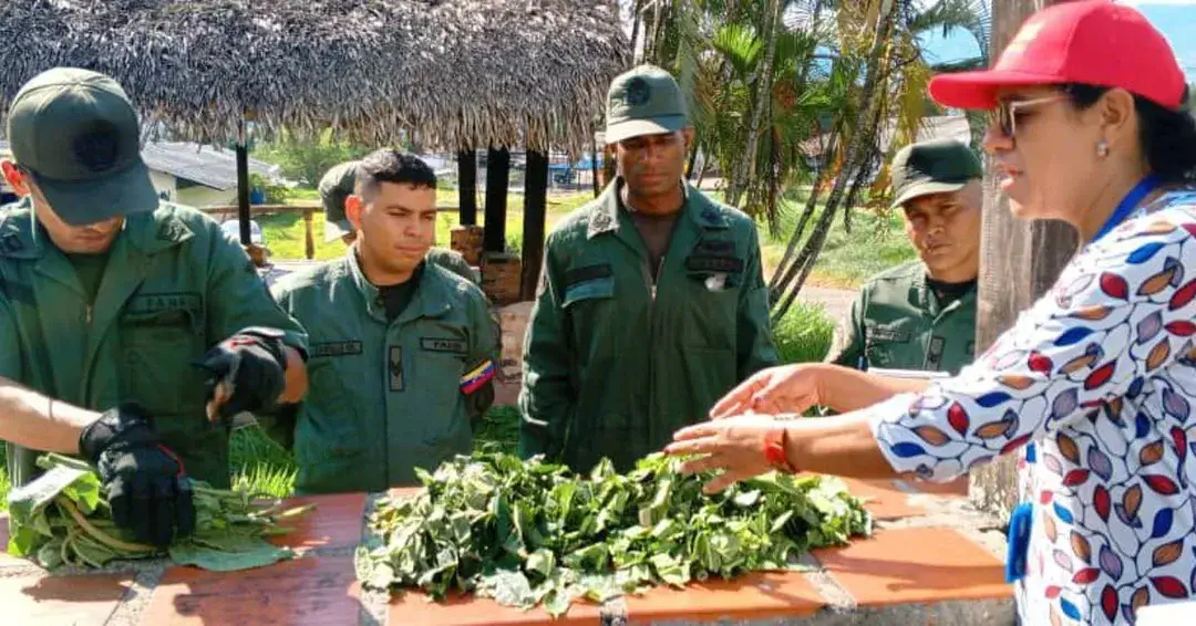 Ejército Bolivariano recibe capacitación sobre huertos sustentables con la Alianza Científico-Campesina 