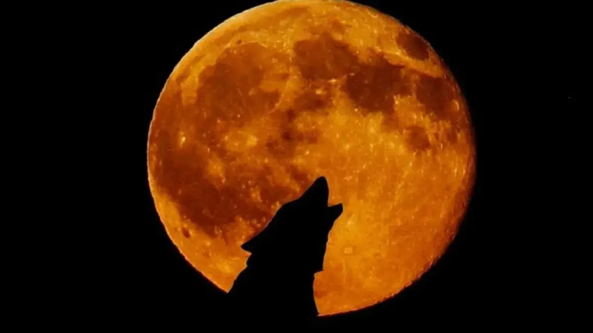 La Luna del Lobo iluminará el cielo de enero