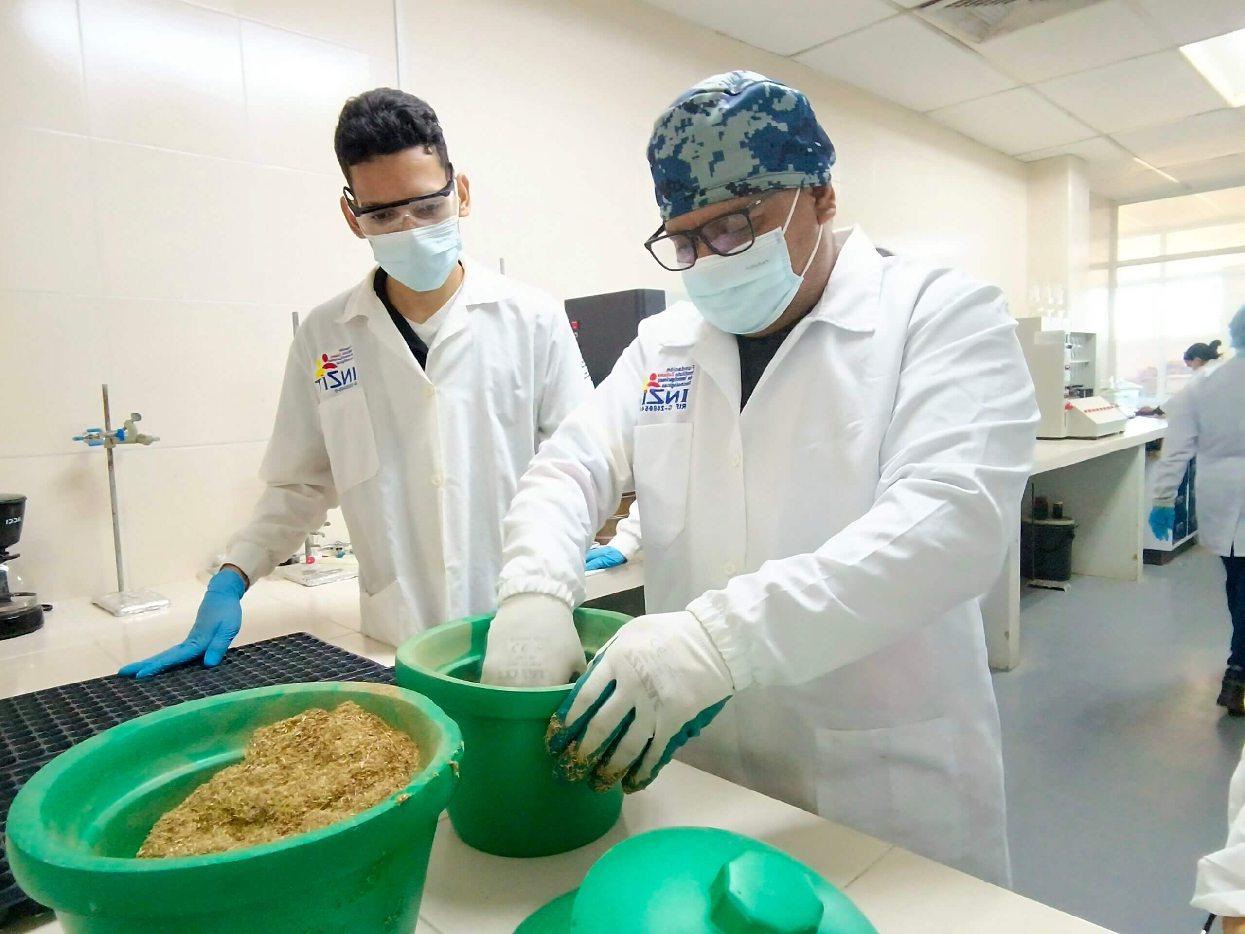 En este momento estás viendo Inzit estudia sustrato como soporte para la producción de bioinsumos