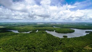Lee más sobre el artículo Venezuela promueve agenda científico-tecnológica y ecosocialista en el Día Internacional de la Madre Tierra
