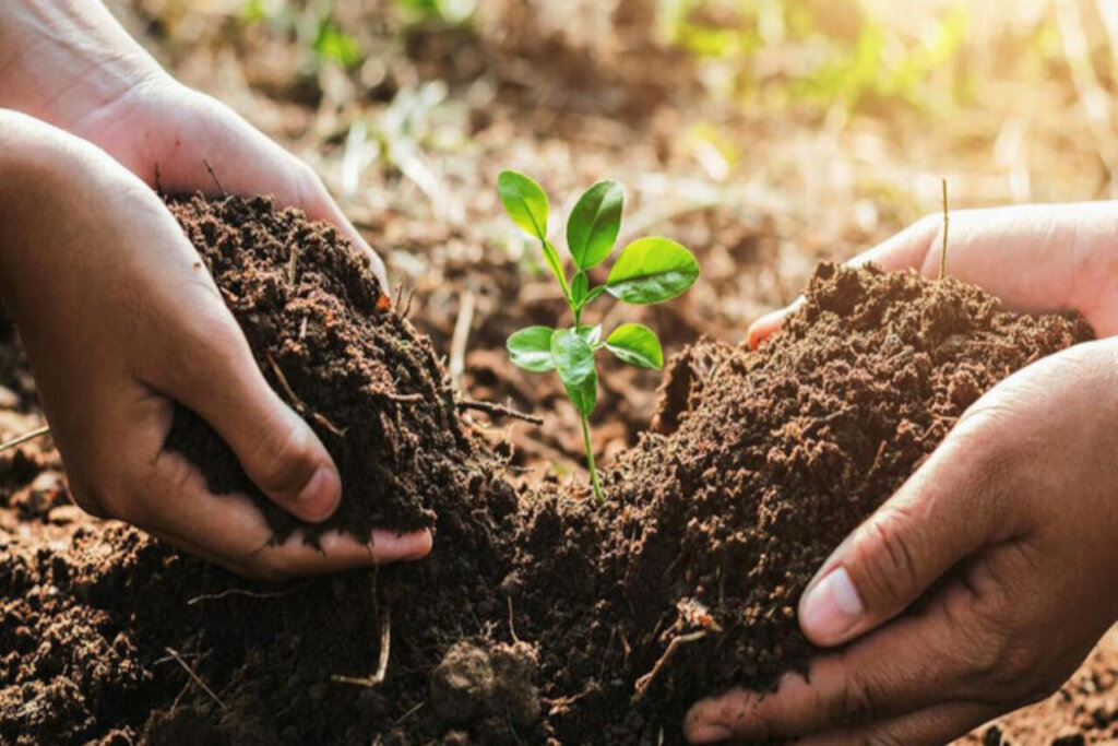 Mincyt invita al taller virtual: Biodiversidad, bioeconomía y desarrollo regenerativo