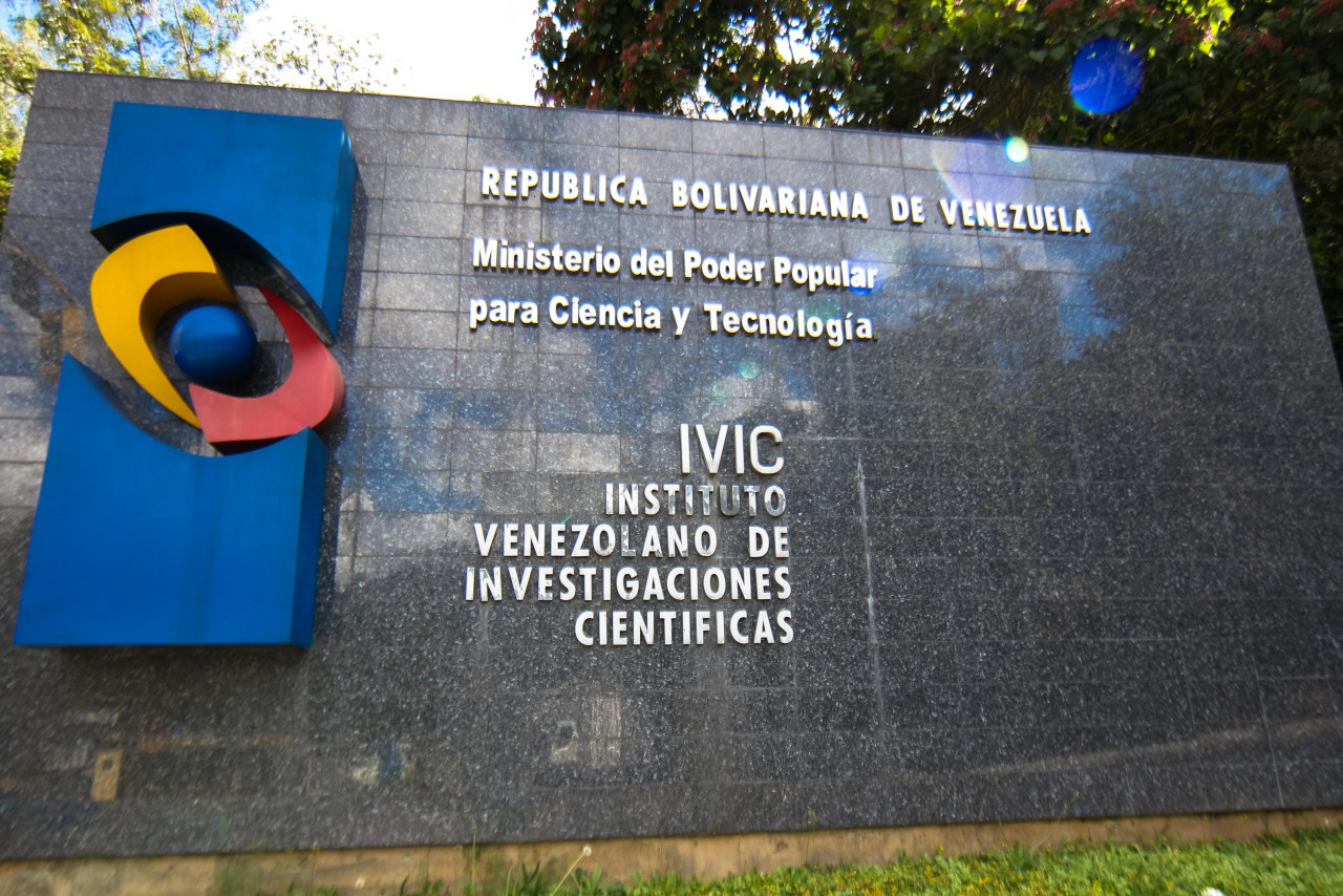 En este momento estás viendo IVIC abre convocatoria para postgrado de biología en células madre y medicina regenerativa