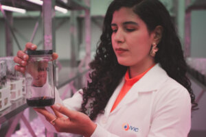 Lee más sobre el artículo Laboratorio Genético de Plantas del IVIC trabaja para hacer un cacao tolerante a la escoba de brujas
