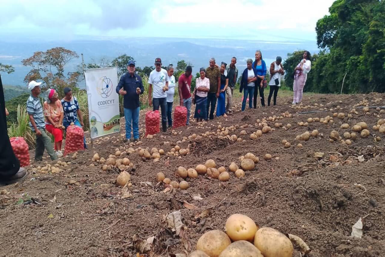 Lee más sobre el artículo Mincyt impulsa actividades formativas para crecimiento del cultivo de papa en Falcón