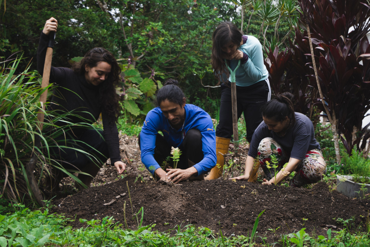 En este momento estás viendo Agricultura en la praxis busca volver a las raíces de cultivos artesanales y sustentables