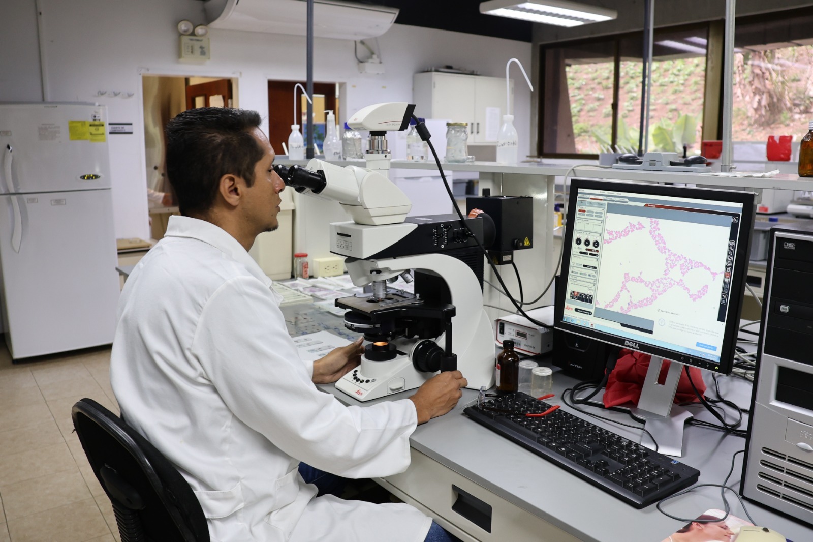 En este momento estás viendo Investigadores del IDEA impulsan la agroecología a través de microorganismos benéficos