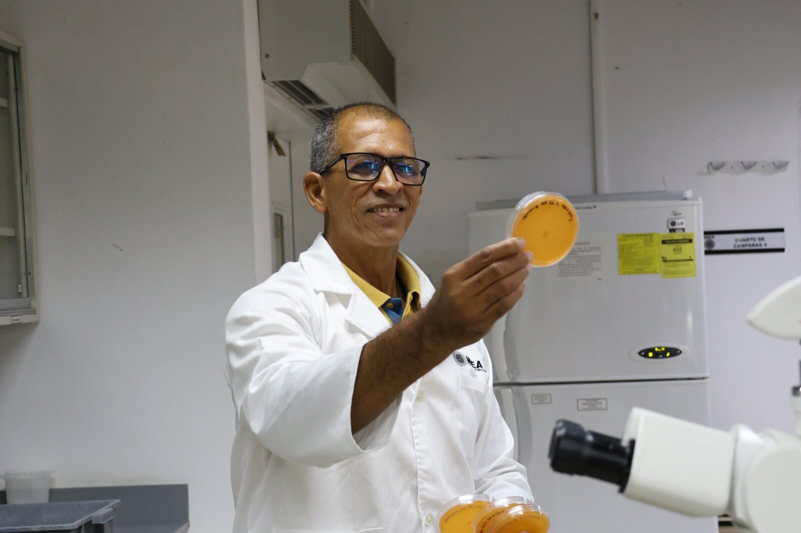Lee más sobre el artículo Investigadores del IDEA estudian microorganismos biocontroladores para control de plagas en el cacao