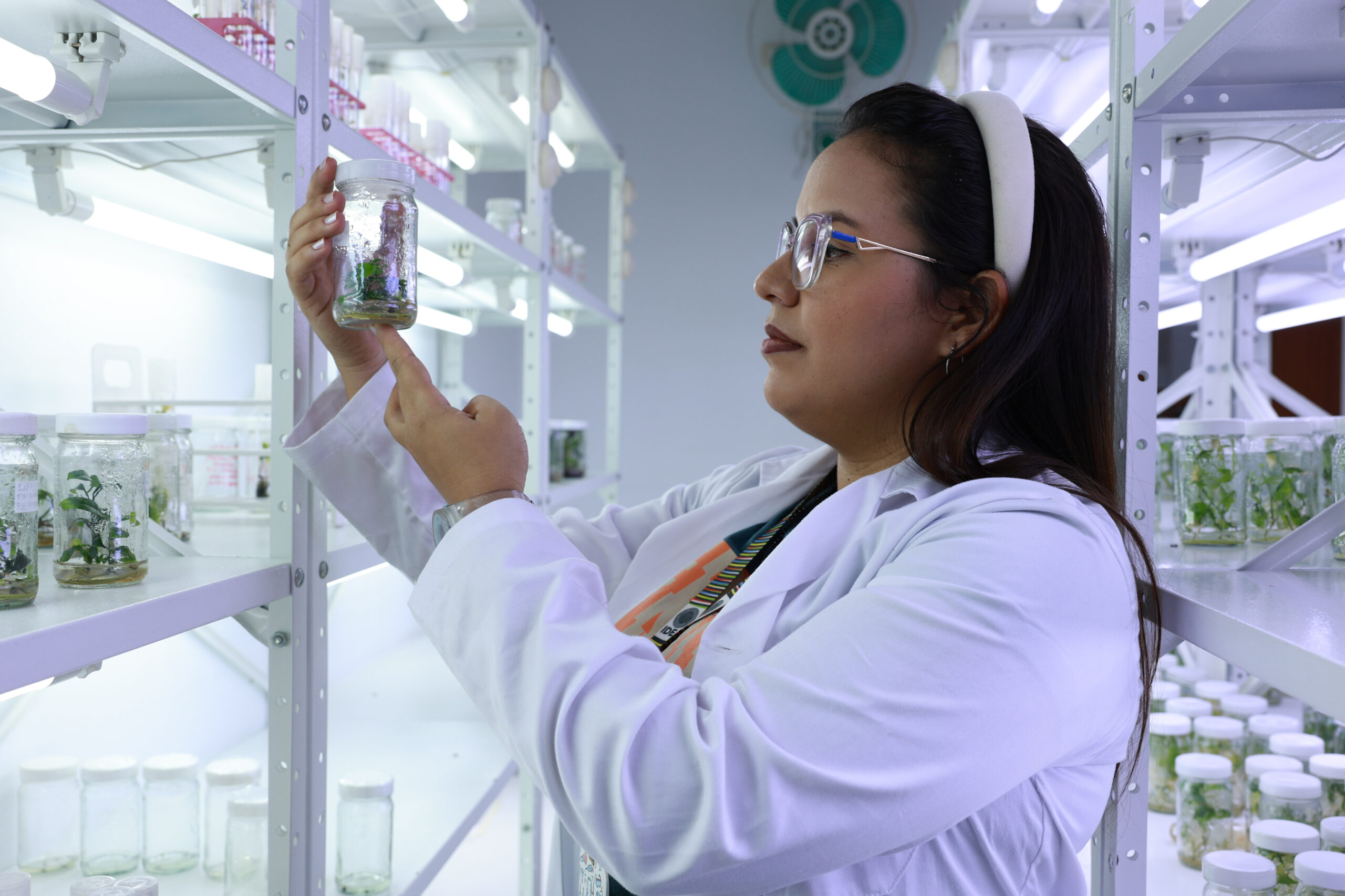 En este momento estás viendo Investigadores desarrollan vivero de plantas de cítricos sanos a partir de germinación in vitro