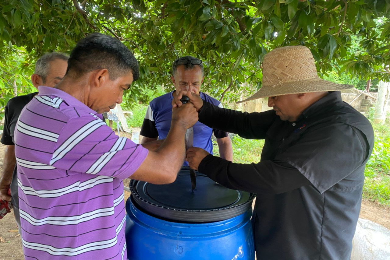 En este momento estás viendo Fundación Inzit avanza en proyecto de prácticas agroecológicas con musáceas