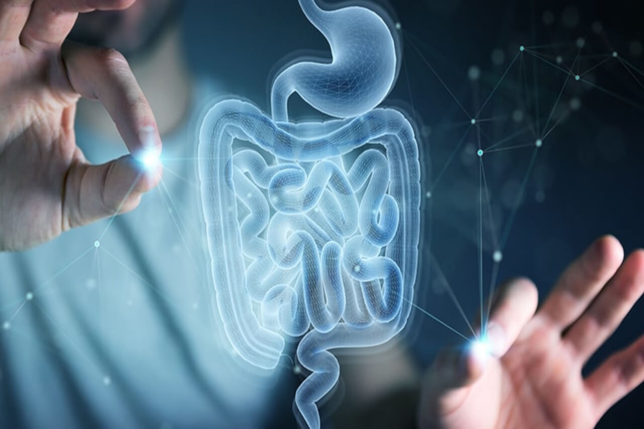 En este momento estás viendo El papel de la microbiota en la prevención de las enfermedades