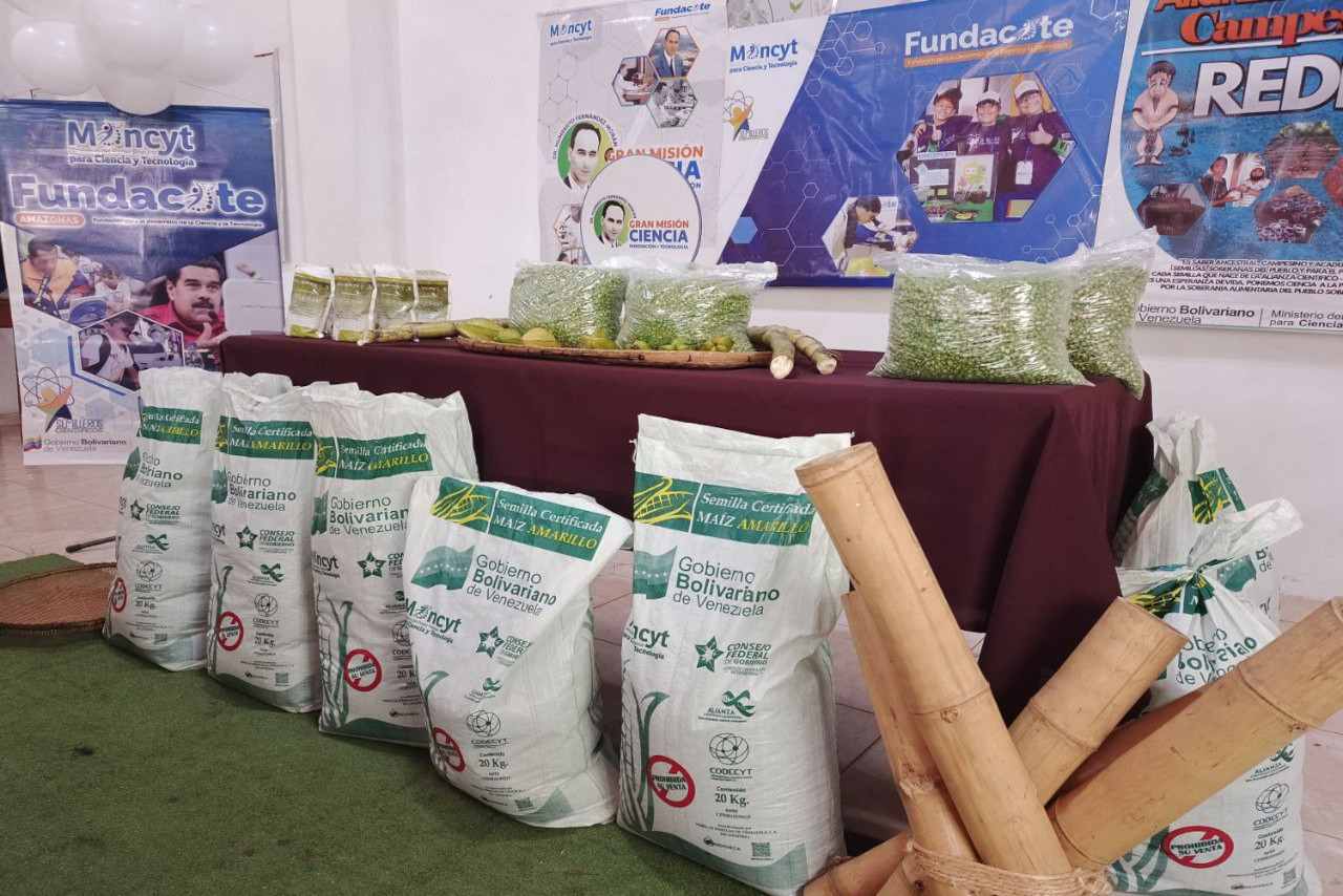 En este momento estás viendo Productores de Amazonas reciben semillas certificadas