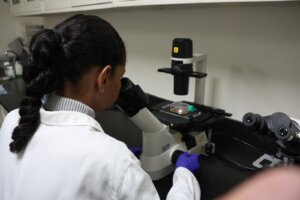 Lee más sobre el artículo Científicos del IDEA estudian compuestos para atacar parásitos causantes del mal de Chagas y la Leishmaniasis