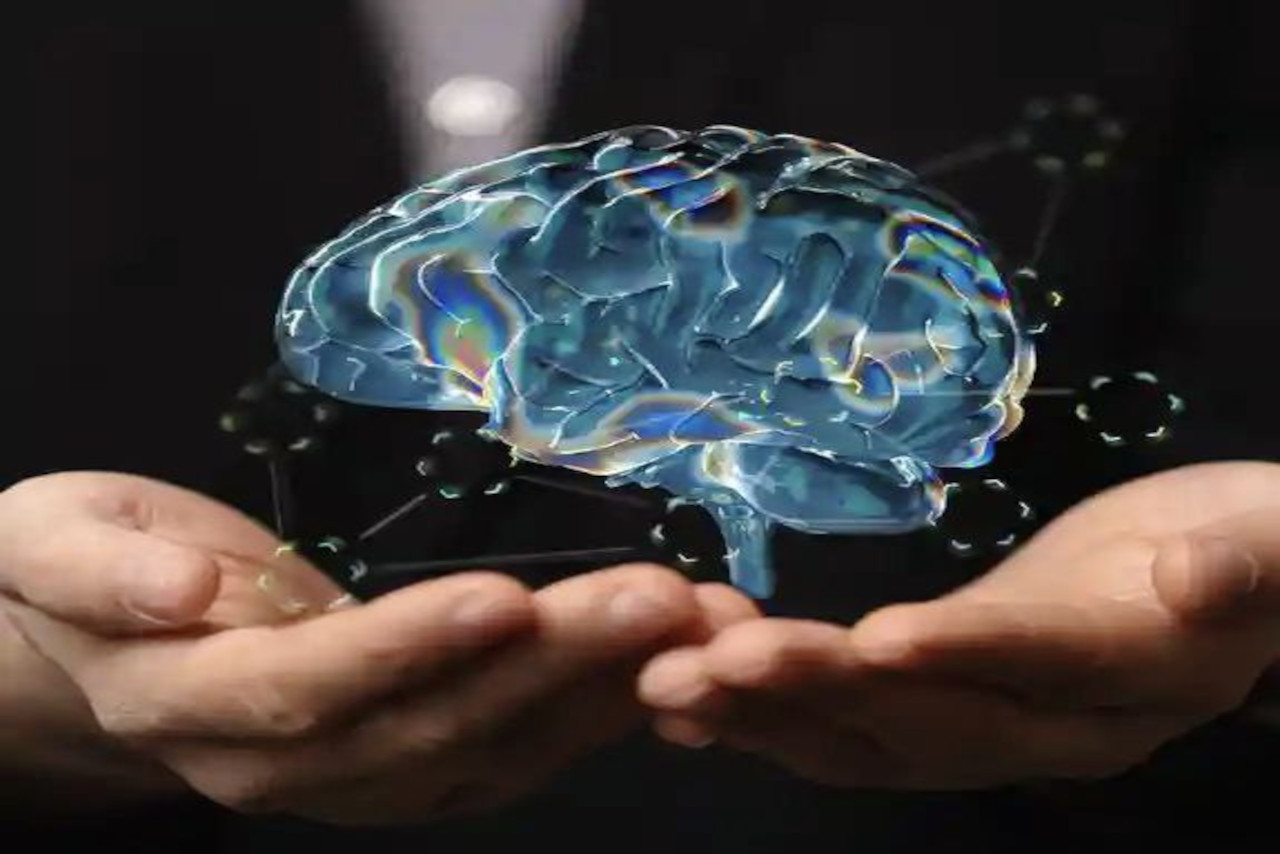 Lee más sobre el artículo Lo poco que se sabe del cerebro y la humildad científica