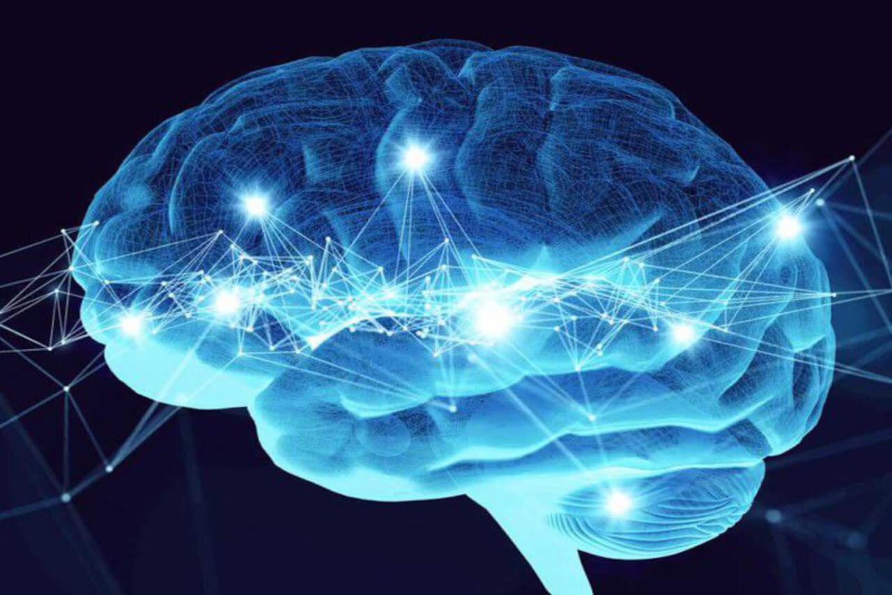 En este momento estás viendo ¿Cómo el cerebro distingue entre realidad y fantasía?
