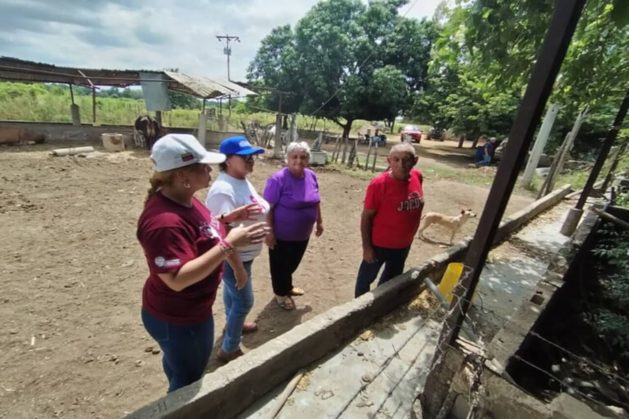 En este momento estás viendo Fundación Inzit promueve la propagación de musáceas en comunidades zulianas