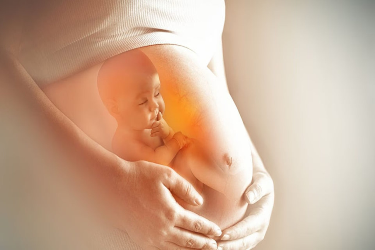 En este momento estás viendo Microquimerismo: el vínculo entre madre e hijo
