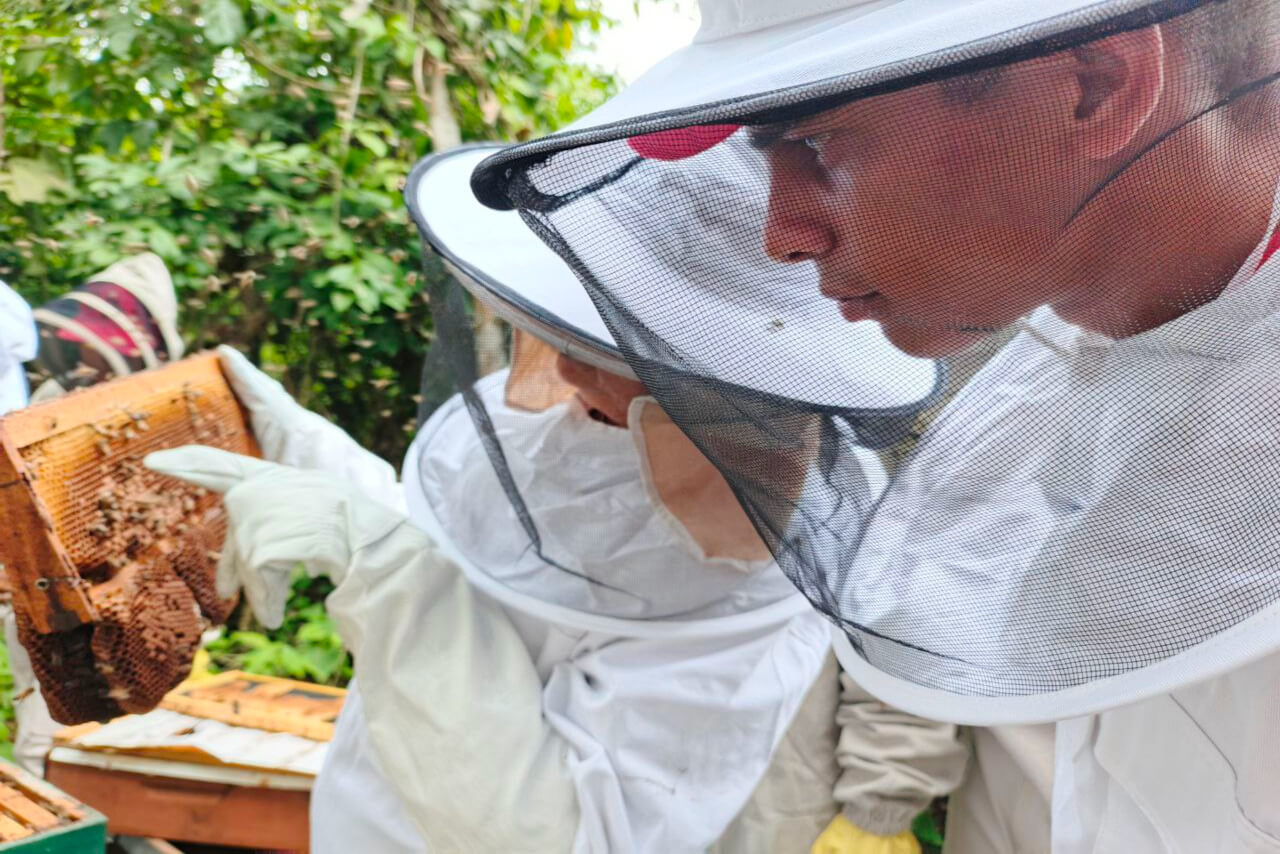 En este momento estás viendo ACAV culmina formación apícola con jornada práctica sobre producción de abejas reinas