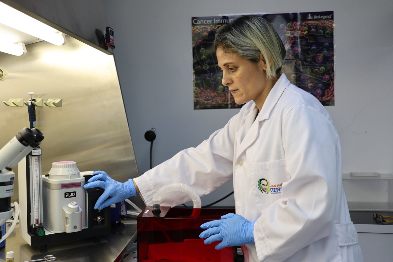 En este momento estás viendo Investigadores del IDEA implementarán modelo de ACV isquémico para generar nuevos enfoques terapéuticos