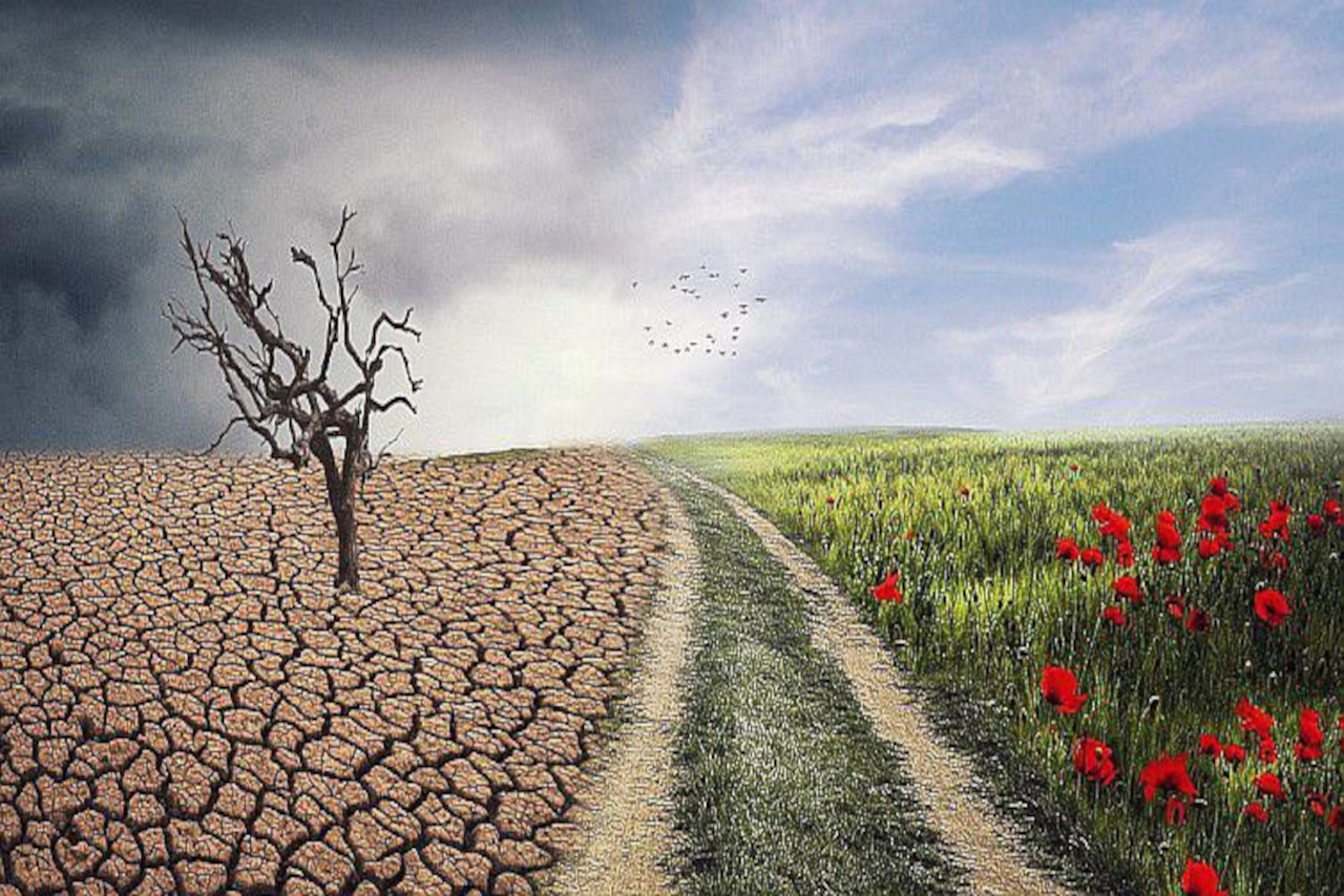 En este momento estás viendo La nueva realidad climática: amenaza latente para el sector agrícola