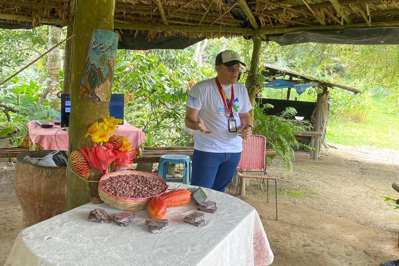 En este momento estás viendo Mincyt ofrece taller sobre buenas prácticas para el procesamiento artesanal de cacao